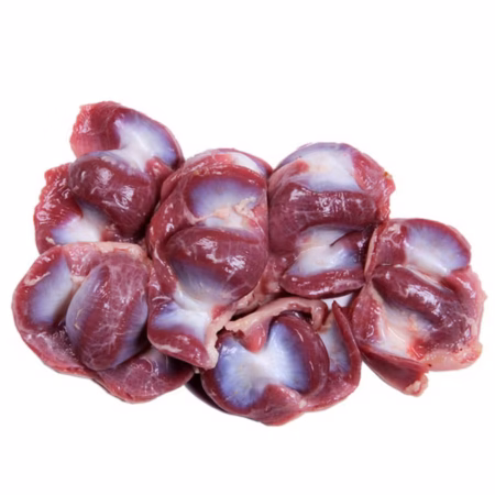 Chicken Gizzard