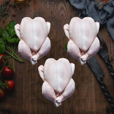 3 Baby Chickens OFFER