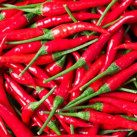 Bird Eye Chilli