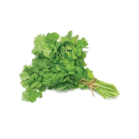 Coriander (Each)