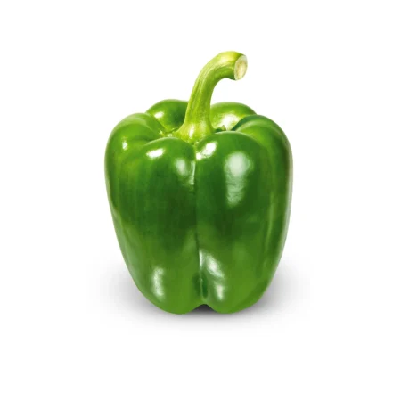 Green Pepper Capsicum