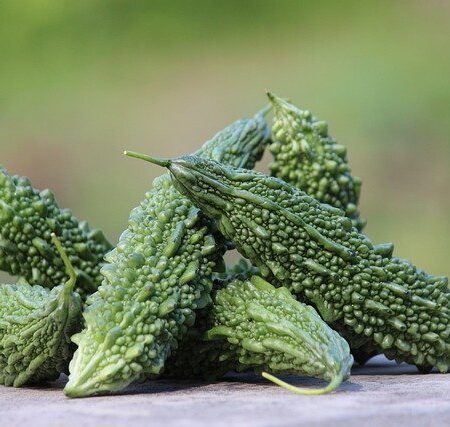 Karela