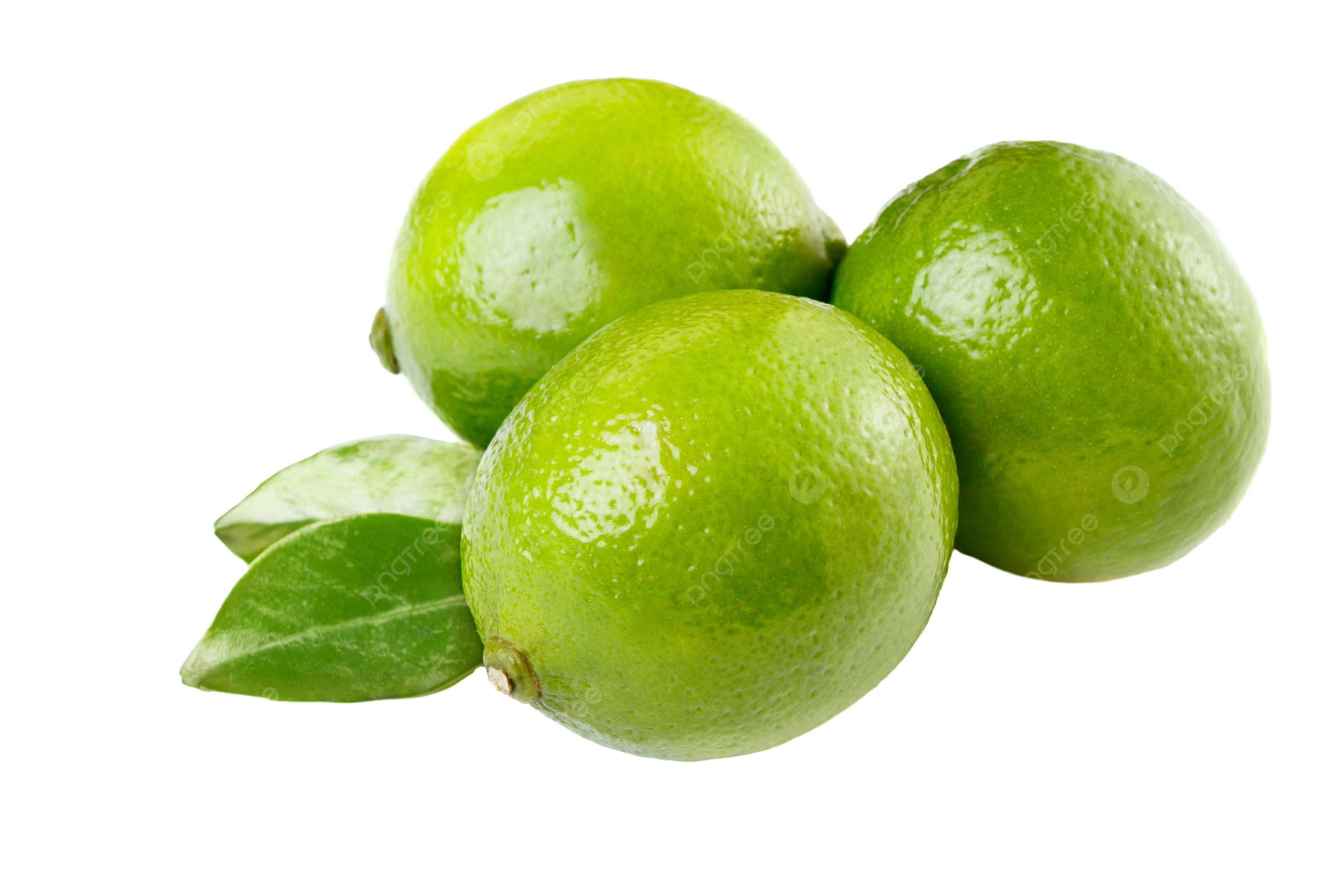 Lime (Three)