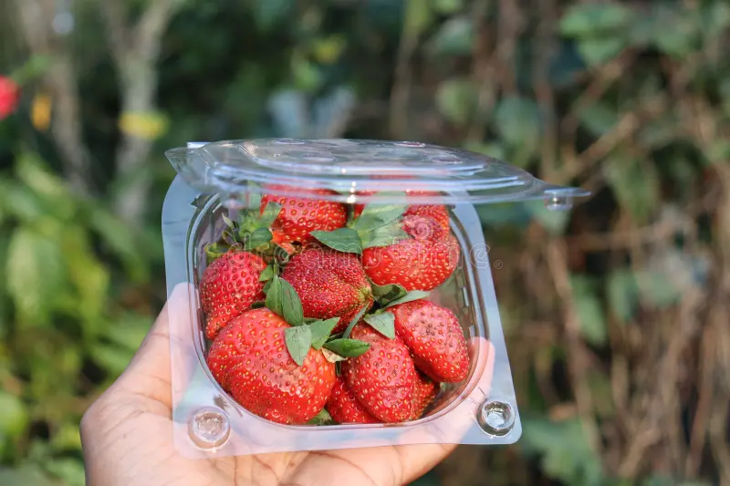 Strawberry (Each Box)