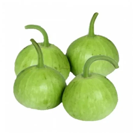 Round Dudhi