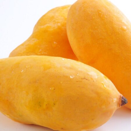 Fresh premium Sindri mangoes from Pakistan, Sindri mangoes
