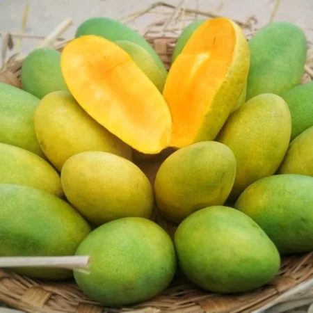 A basket of fresh premium Doseri mangoes from Pakistan, Doseri Mangoes